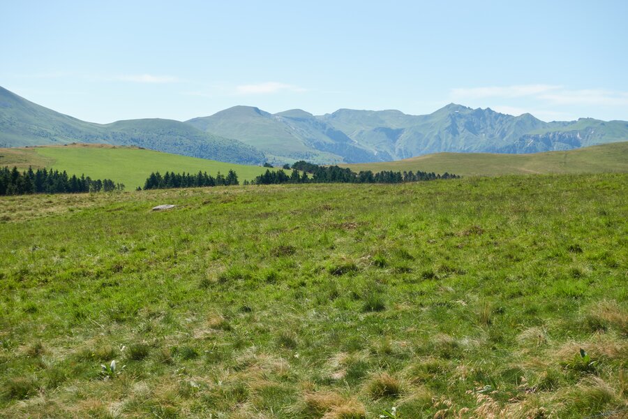 Auvergne